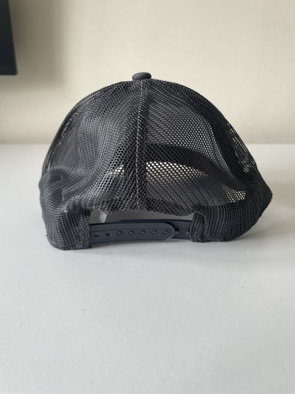 Carhartt Blue/Charcoal Force Canvas Mesh Back Graphic Fish Logo Workwear Cap1